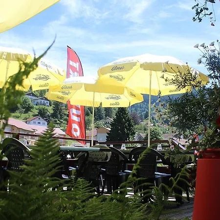 Hotel Les Bruy\u00e8res Ventron