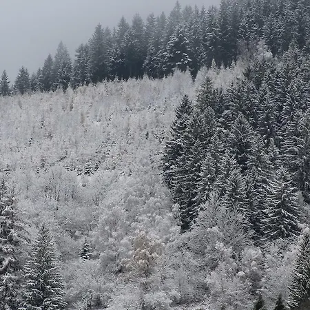 Hotel Les Bruyeres Ventron