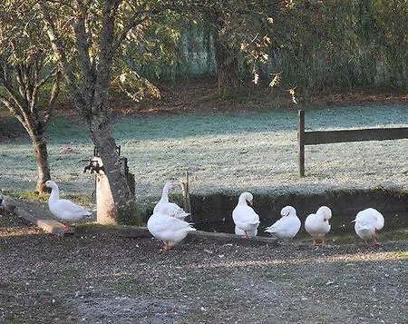 酒店 Les Bruyeres 2*