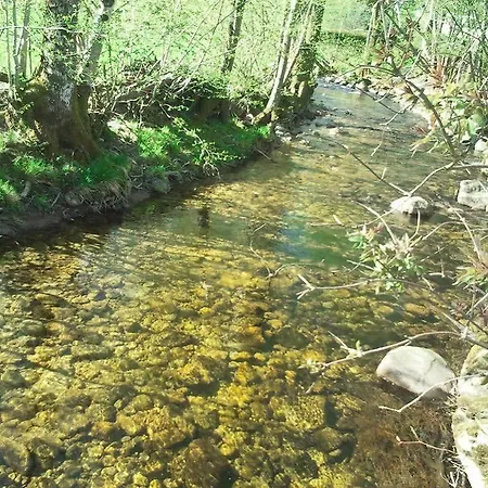 Hotel Les Bruyeres Hotel Ventron