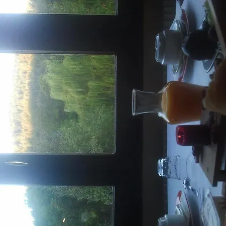 Hotel Hotel Les Bruyeres Ventron