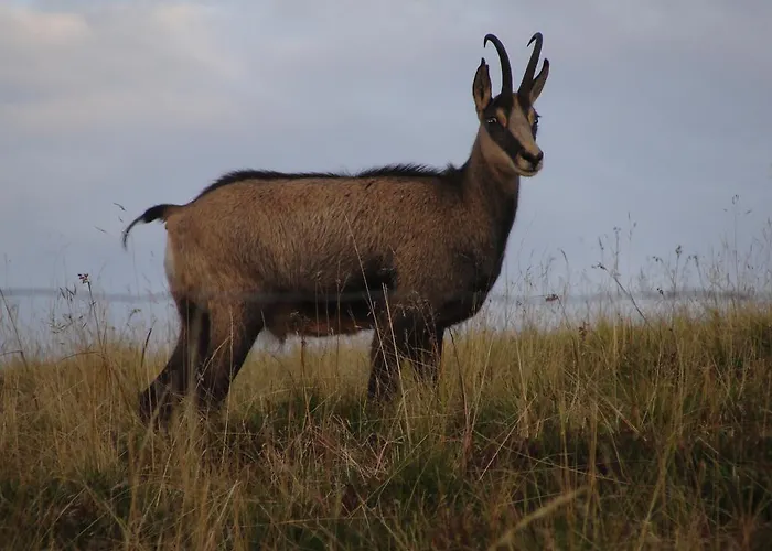 Les Bruy\u00e8res Hotel Ventron