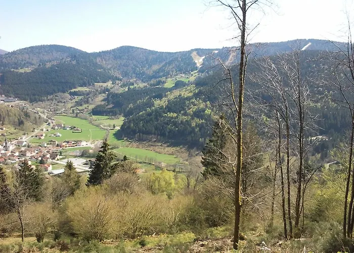 Hotel Les Bruy\u00e8res 2*