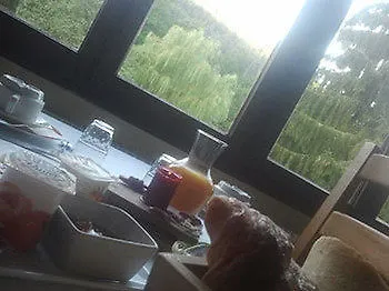 Hotel Les Bruyeres 2* Ventron