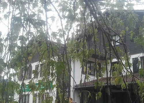 Hotel Hotel Les Bruyeres 2*