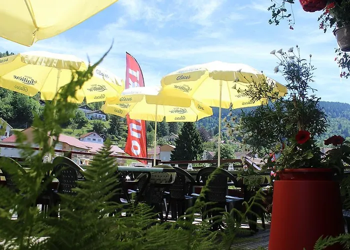 Hotel Hotel Les Bruyeres Ventron