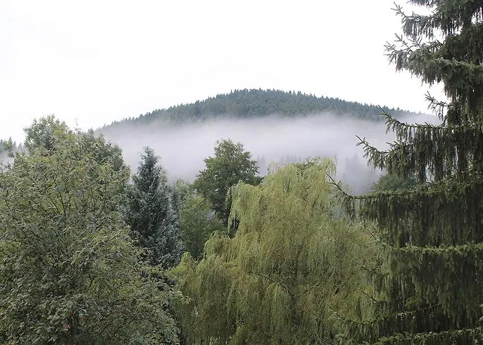 Hotel Les Bruyeres Hotel