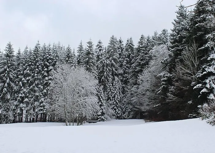 Hotel Les Bruyeres Hotel