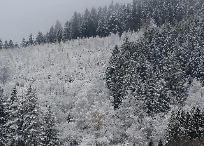 Hotel Les Bruyeres Ventron