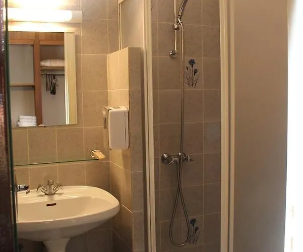 Hotel Les Bruyeres Hotel Ventron