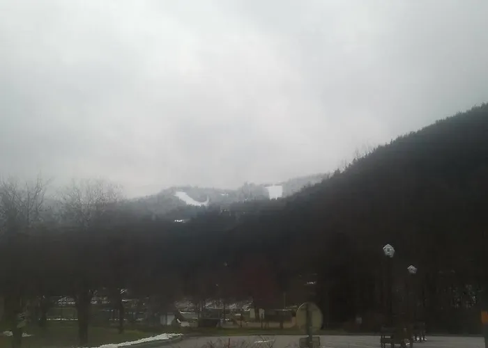 Hotel Les Bruyeres Hotel