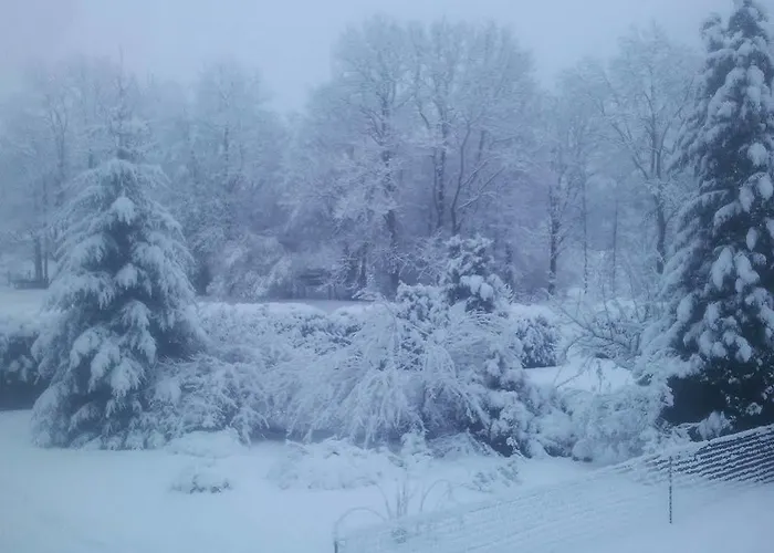 Hotel Hotel Les Bruyeres Ventron