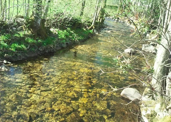 Hotel Les Bruyeres Hotel Ventron