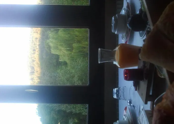 Hotel Hotel Les Bruyeres Ventron