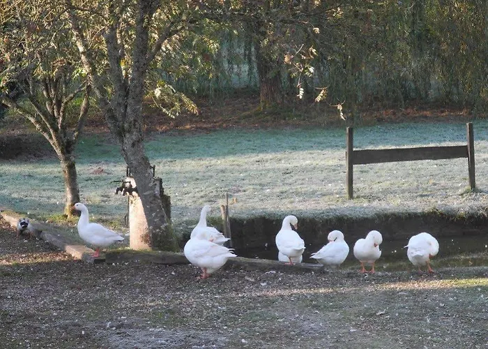 Hotel Hotel Les Bruyeres Ventron