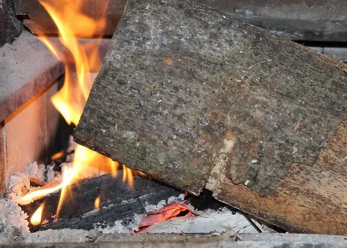 Hotel Les Bruyeres Hotel 2*