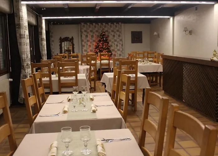 Hotel Les Bruyeres 2* Ventron